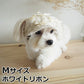 犬の帽子 ガーデンオブエデン リボンキャスケット M ホワイトリボン おしゃれ 可愛い 小型犬