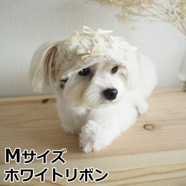 犬の帽子 ガーデンオブエデン リボンキャスケット M ホワイトリボン おしゃれ 可愛い 小型犬