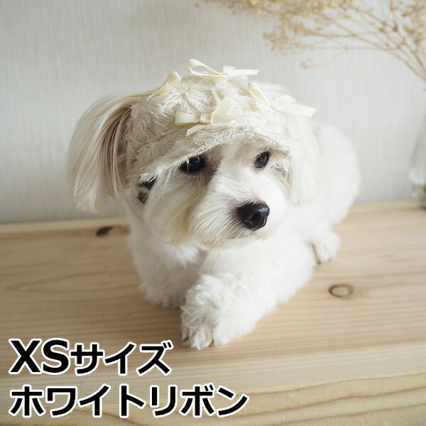 犬の帽子 ガーデンオブエデン リボンキャスケット XS ホワイトリボン おしゃれ 可愛い 小型犬