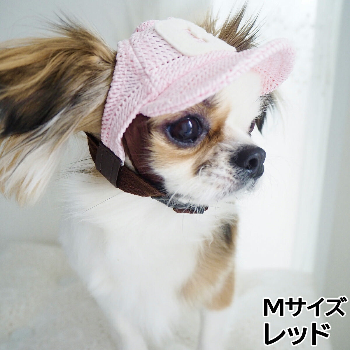 犬の帽子 ガーデンオブエデン メッシュCAP Mサイズ レッド