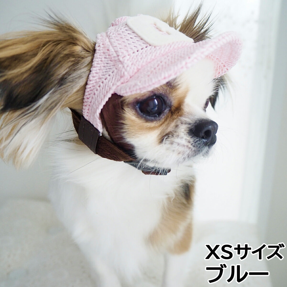 犬の帽子 ガーデンオブエデン メッシュCAP XSサイズ ブルー