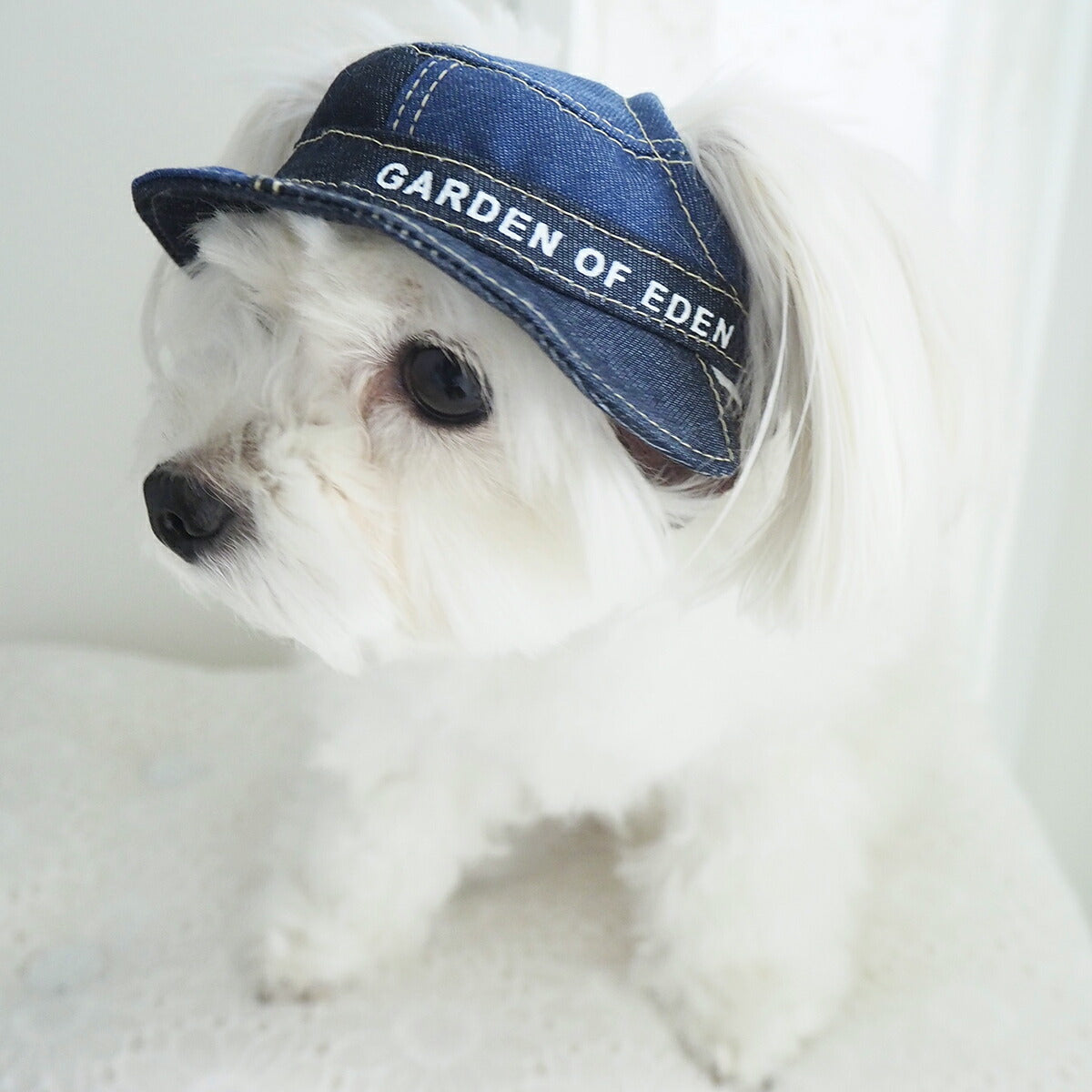 犬の帽子 ガーデンオブエデン パッチワークDenimハット Sサイズ パッチワークデニム