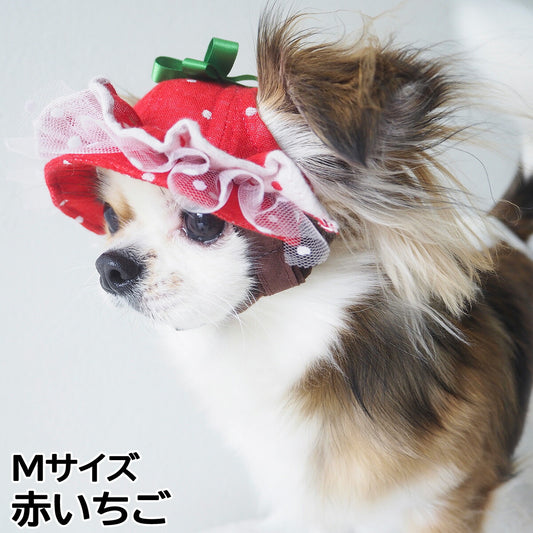 犬の帽子 ガーデンオブエデン いちごフリルハット Mサイズ 赤いちご