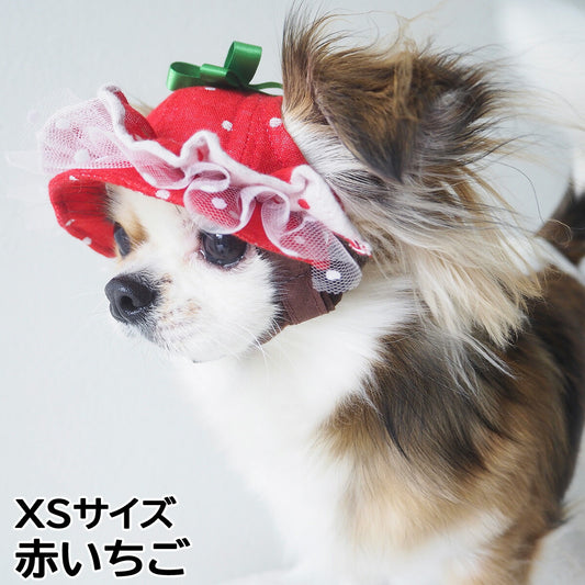 犬の帽子 ガーデンオブエデン いちごフリルハット XSサイズ 赤いちご