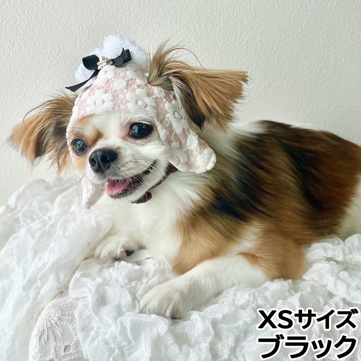 犬の帽子 ガーデンオブエデン カメリアボンパイロット XS ブラック【送料無料】