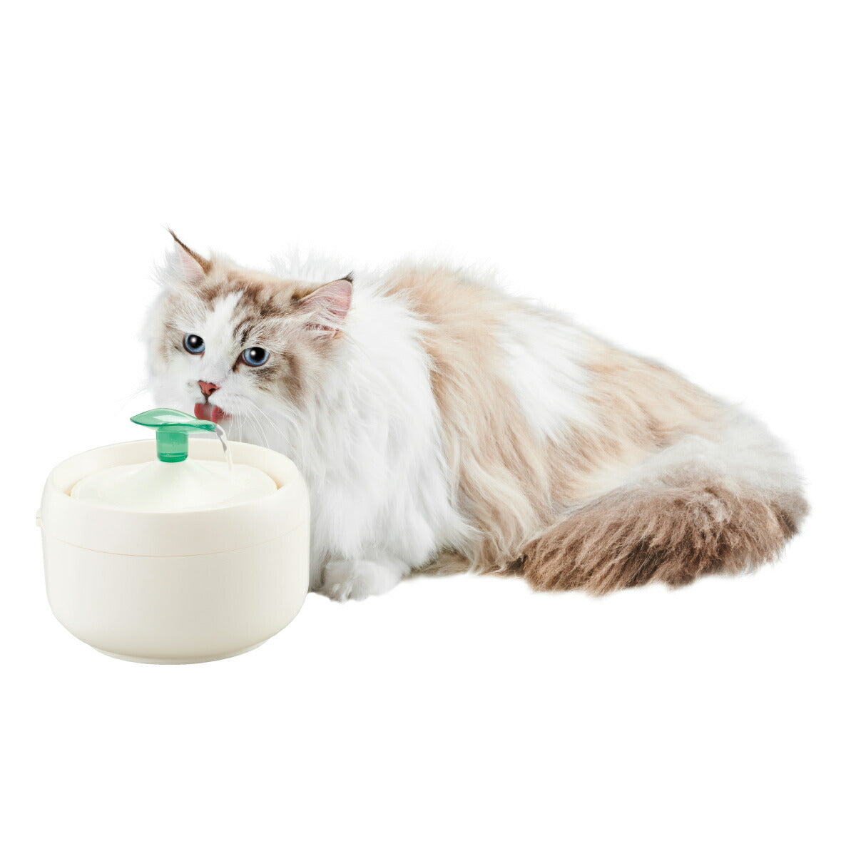 ピュアクリスタル ニャーロ 猫用 オフホワイト 1L