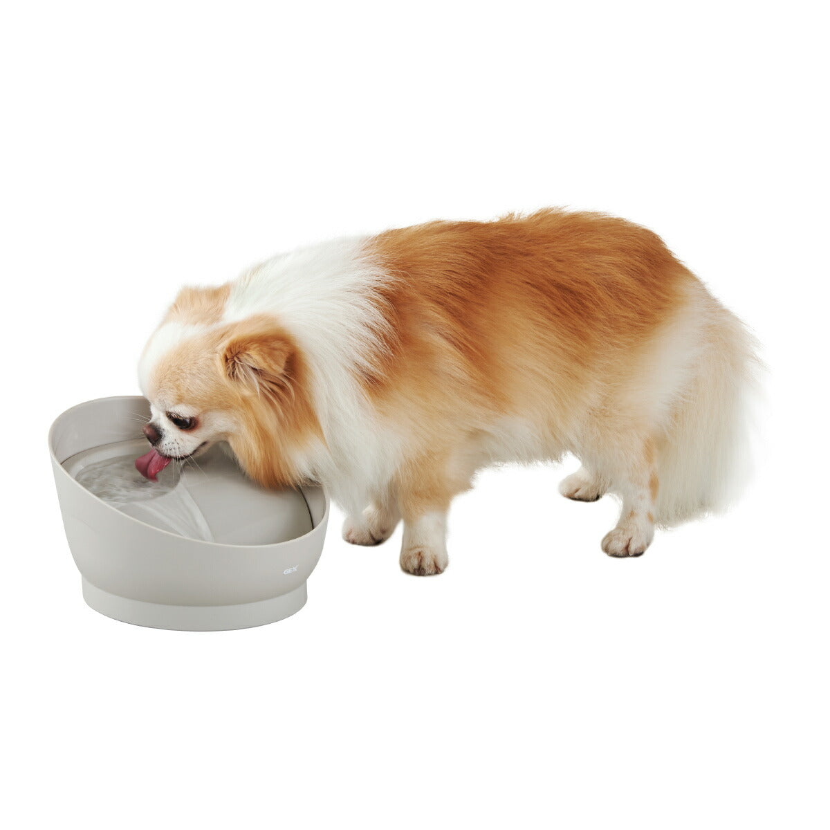 ピュアクリスタル ミューティー 犬用 ムーングレー 950ml