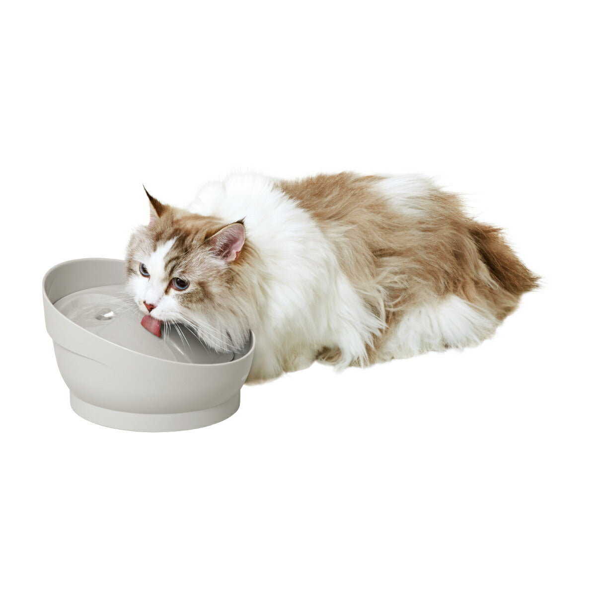 ピュアクリスタル ミューティー 猫用 ムーングレー 950ml