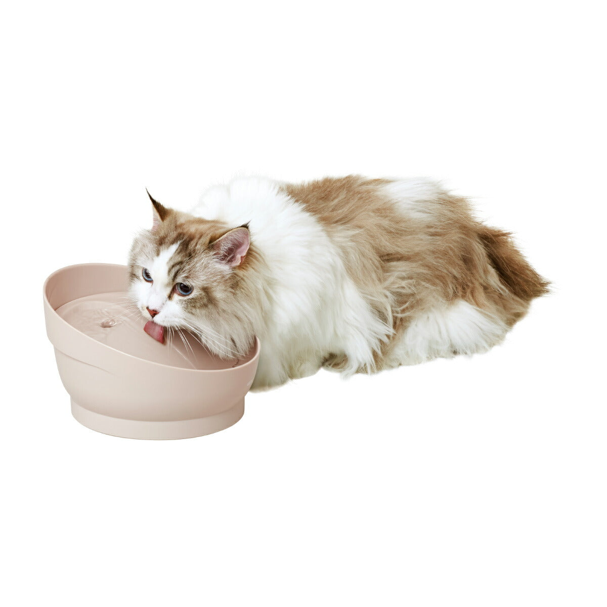 ピュアクリスタル ミューティー 猫用 ミルキーベージュ 950ml