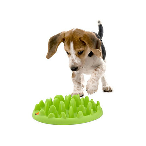 Green Mini 犬 早食い防止 食器 フードボウル 餌入れ スローフィーダー 有害物質不使用
