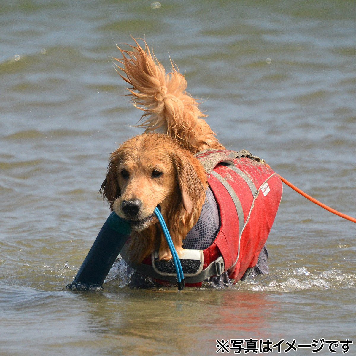 ジウォーク GEWALK Z-7 バイティング フロート S レッド