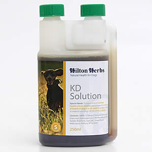 ヒルトンハーブ KDソリューション 250ml 送料無料