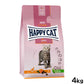 ハッピーキャット HAPPY CAT キャットフード ヤング ジュニア ファーム ダック（平飼いの鴨/穀物不使用） 4kg【送料無料】
