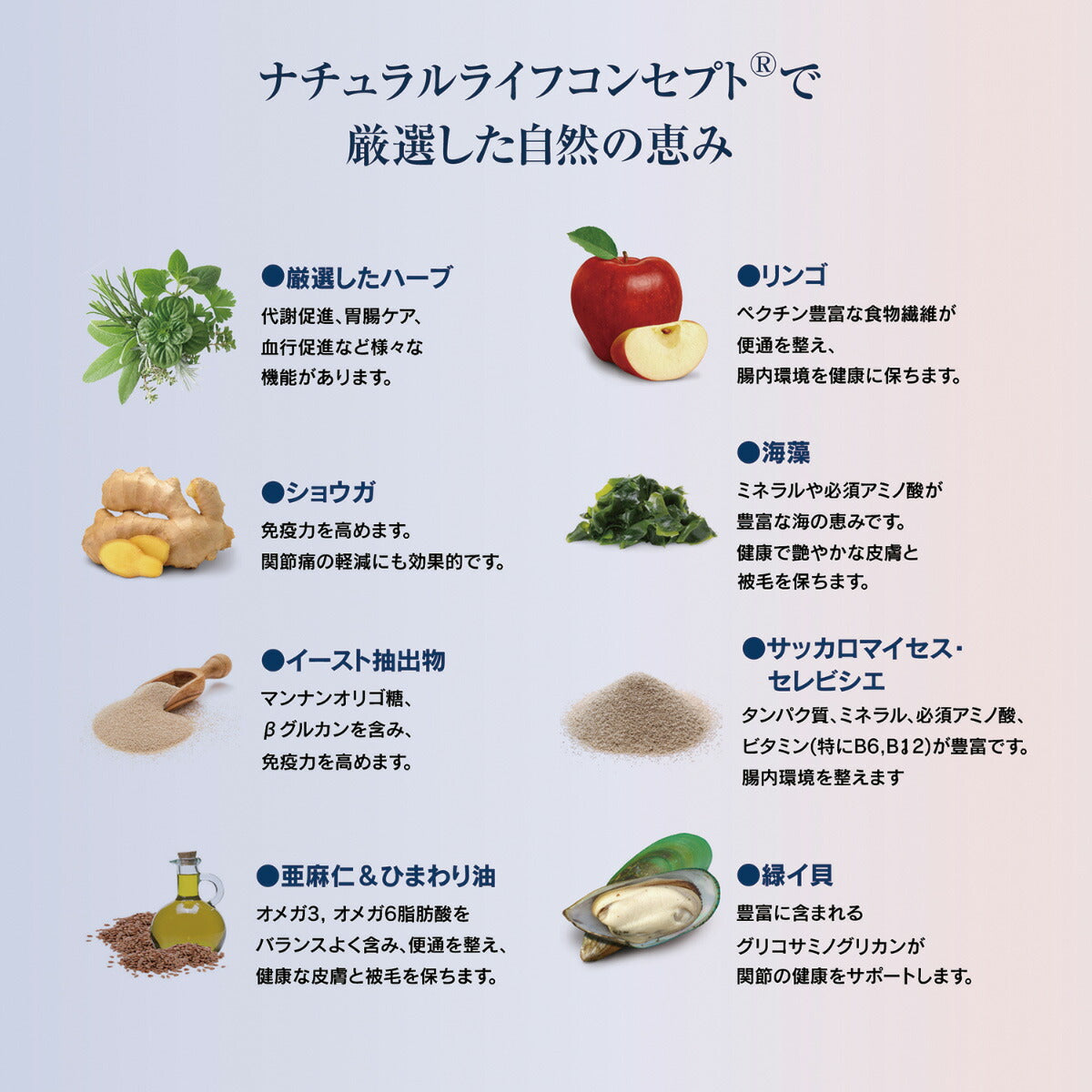 ハッピーキャット HAPPY CAT キャットフード カリナリー バイエルン ビーフ（大粒） 10kg【送料無料】