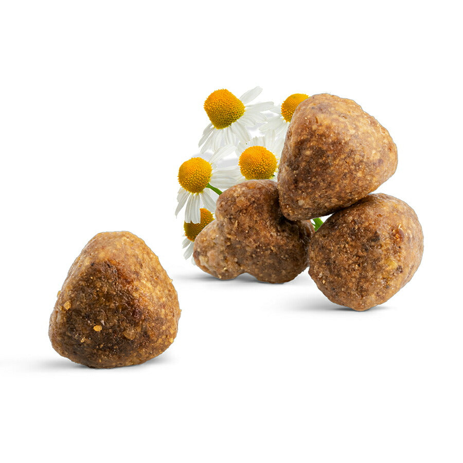 ハッピーキャット HAPPY CAT キャットフード ケア ストマック＆インテスティン（胃腸ケア） 4kg【送料無料】
