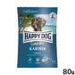 ハッピードッグ HAPPY DOG ドッグフード センシブル カリビック（グレインフリー）シーフィッシュ アレルギーケア（成犬～シニア犬用） 80g