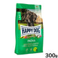 ハッピードッグ HAPPY DOG ドッグフード センシブル インディア（ベジタリアン）ライス、えんどう豆＆ターメリック アレルギーケア（成犬～シニア犬） 300g