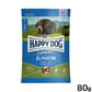 ハッピードッグ HAPPY DOG ドッグフード ヤング センシブル ジュニア ラム＆ライス（中～大型犬） 80g