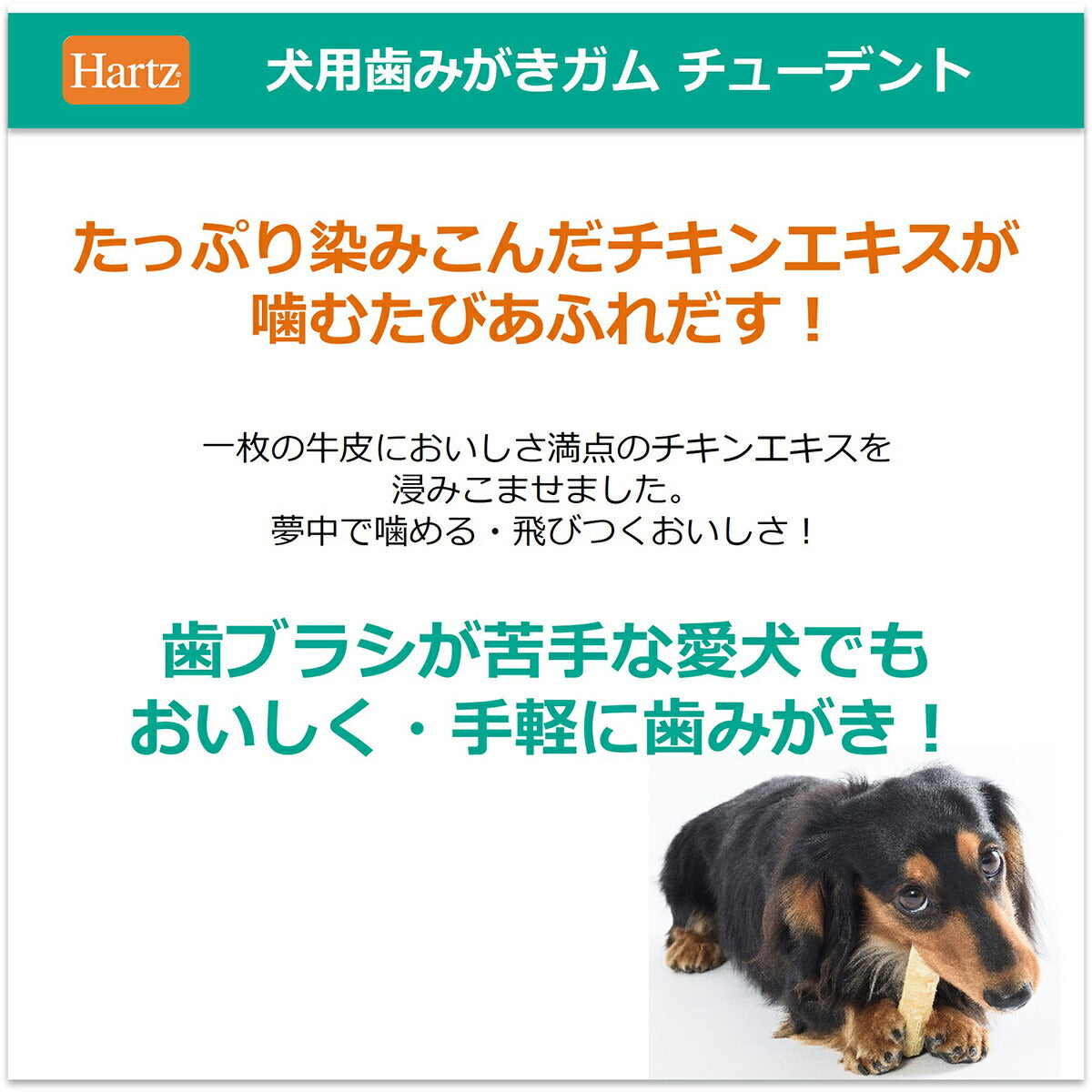 ハーツ チューデント 超小型犬専用 7本