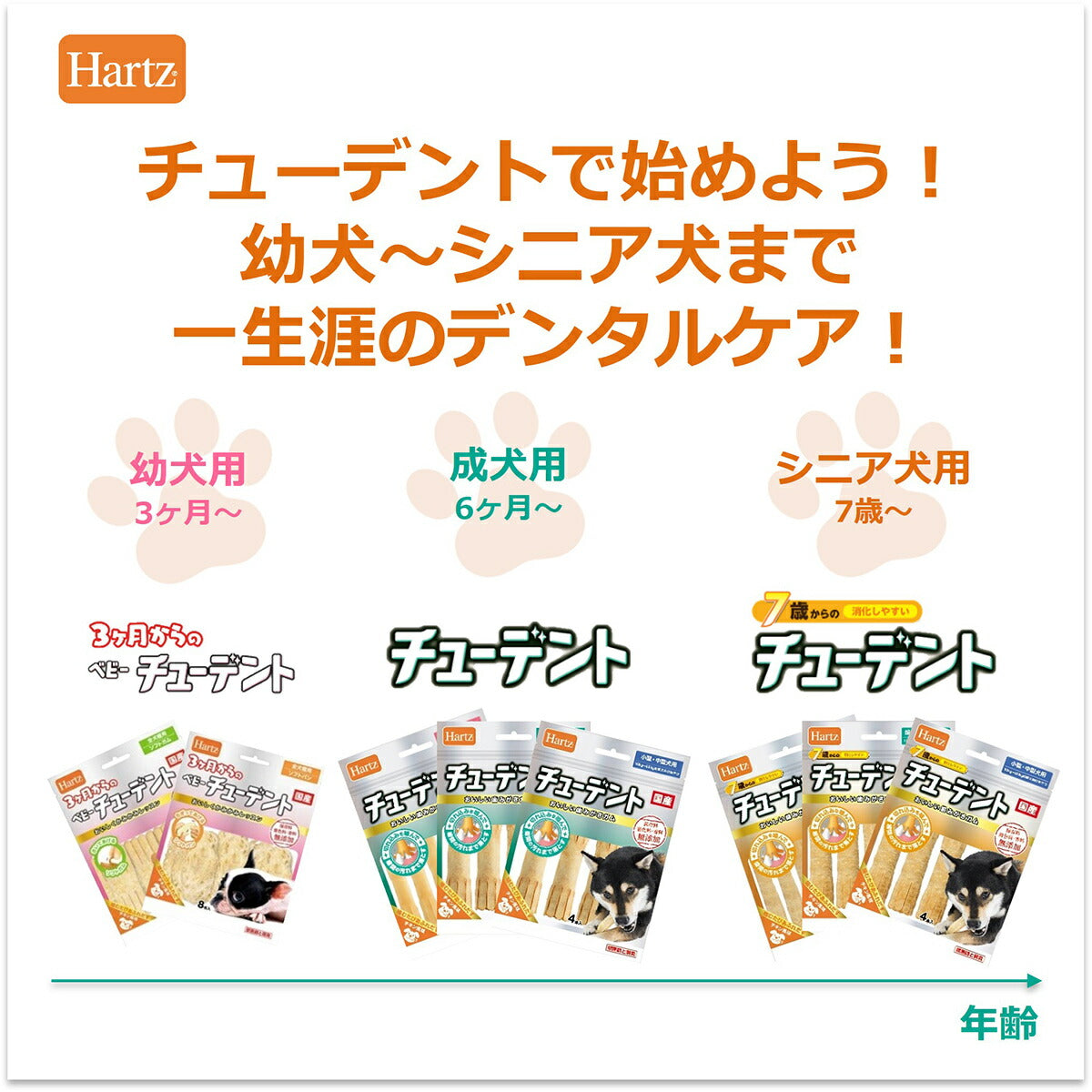 ハーツ チューデント 小型～中型犬用 4本