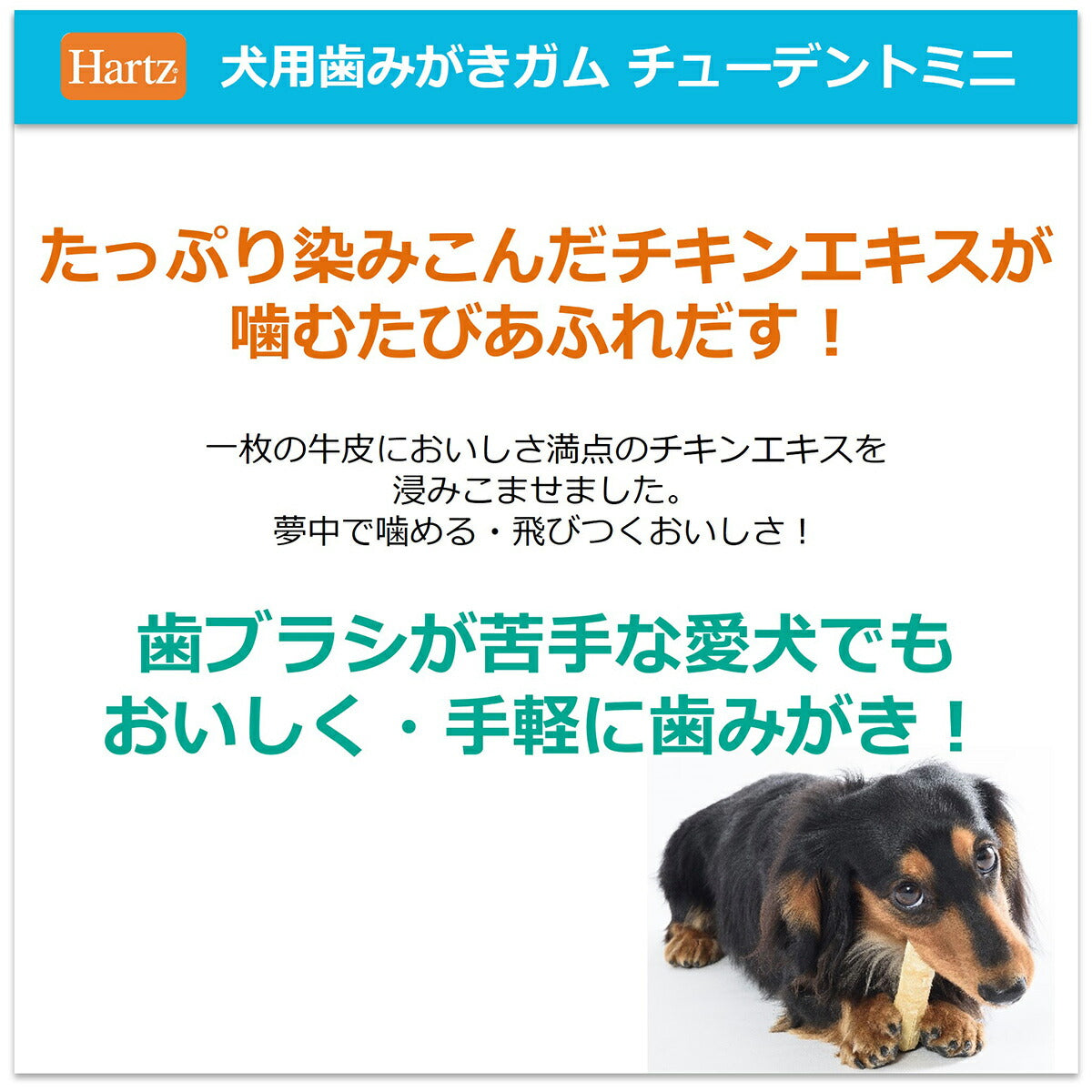 ハーツ チューデントミニ チキン味 10本