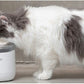 ネロ nello コードレス給水器 犬 猫 自動給水器 給水器 水飲み器 水分補給 浄水 自動 充電式 分解丸洗いOK