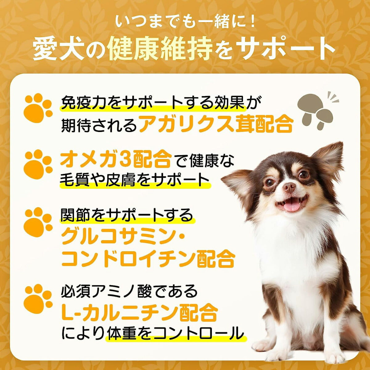 ロットプレミア ドッグフード チキン＆アガリクス 成犬 小粒 4kg【送料無料】