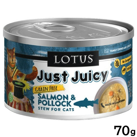 ロータス キャットフード グレインフリー 無水調理ウェットフード サーモン&ポロック シチュー 70g 無添加 缶詰