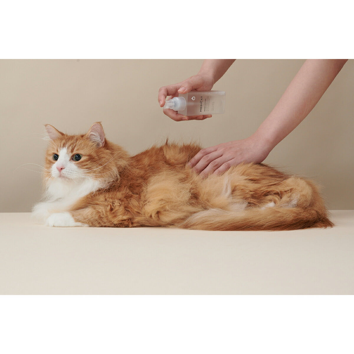 MEDICAT メディキャット スキンケア モイストローション 100ml 猫スキンケア ふけ かゆみ 肌荒れ ドクターズアイテム 日本製 幹細胞 人型セラミド