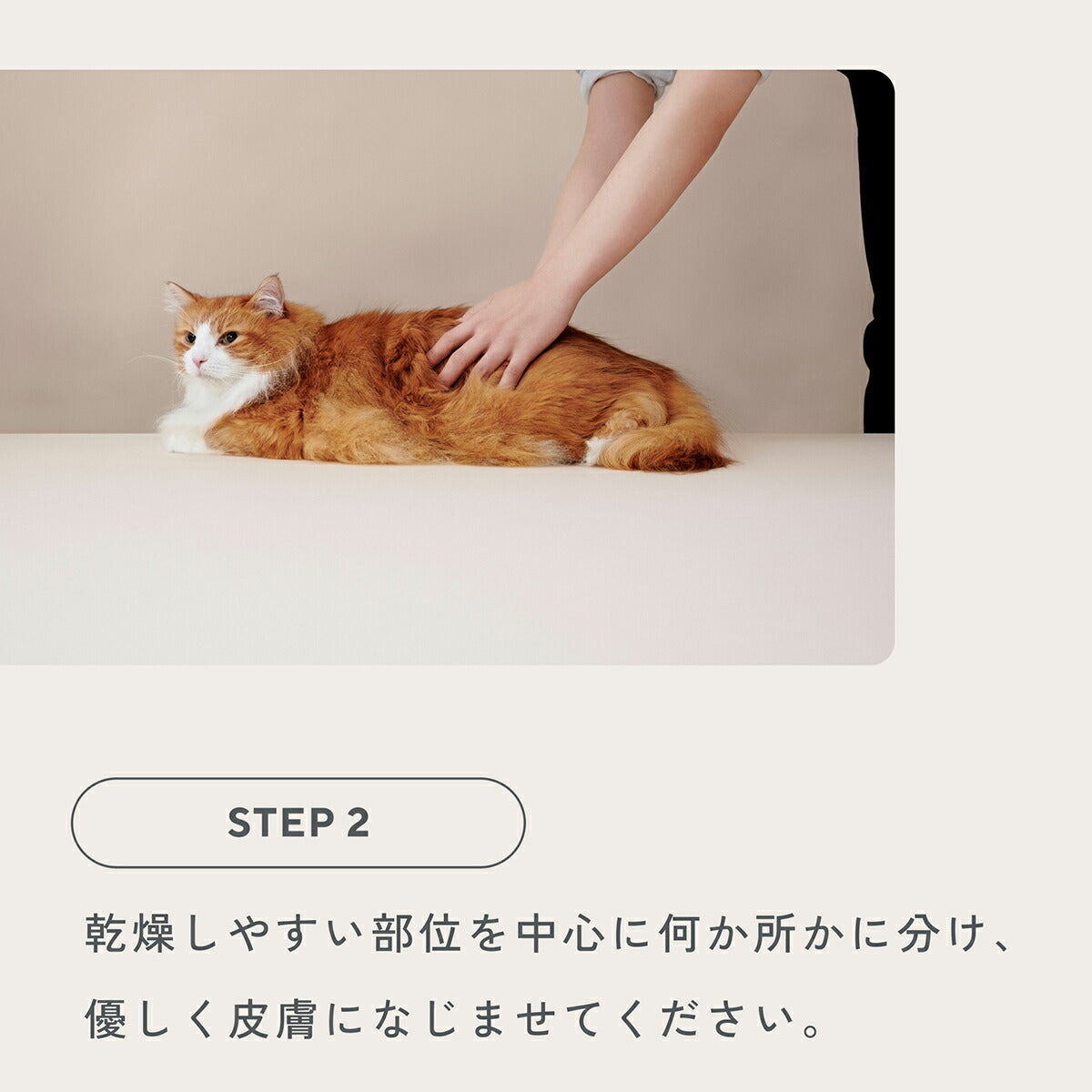 MEDICAT メディキャット スキンケア モイストローション 100ml 猫スキンケア ふけ かゆみ 肌荒れ ドクターズアイテム 日本製 幹細胞 人型セラミド