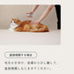 MEDICAT メディキャット スキンケア モイストローション 100ml 猫スキンケア ふけ かゆみ 肌荒れ ドクターズアイテム 日本製 幹細胞 人型セラミド