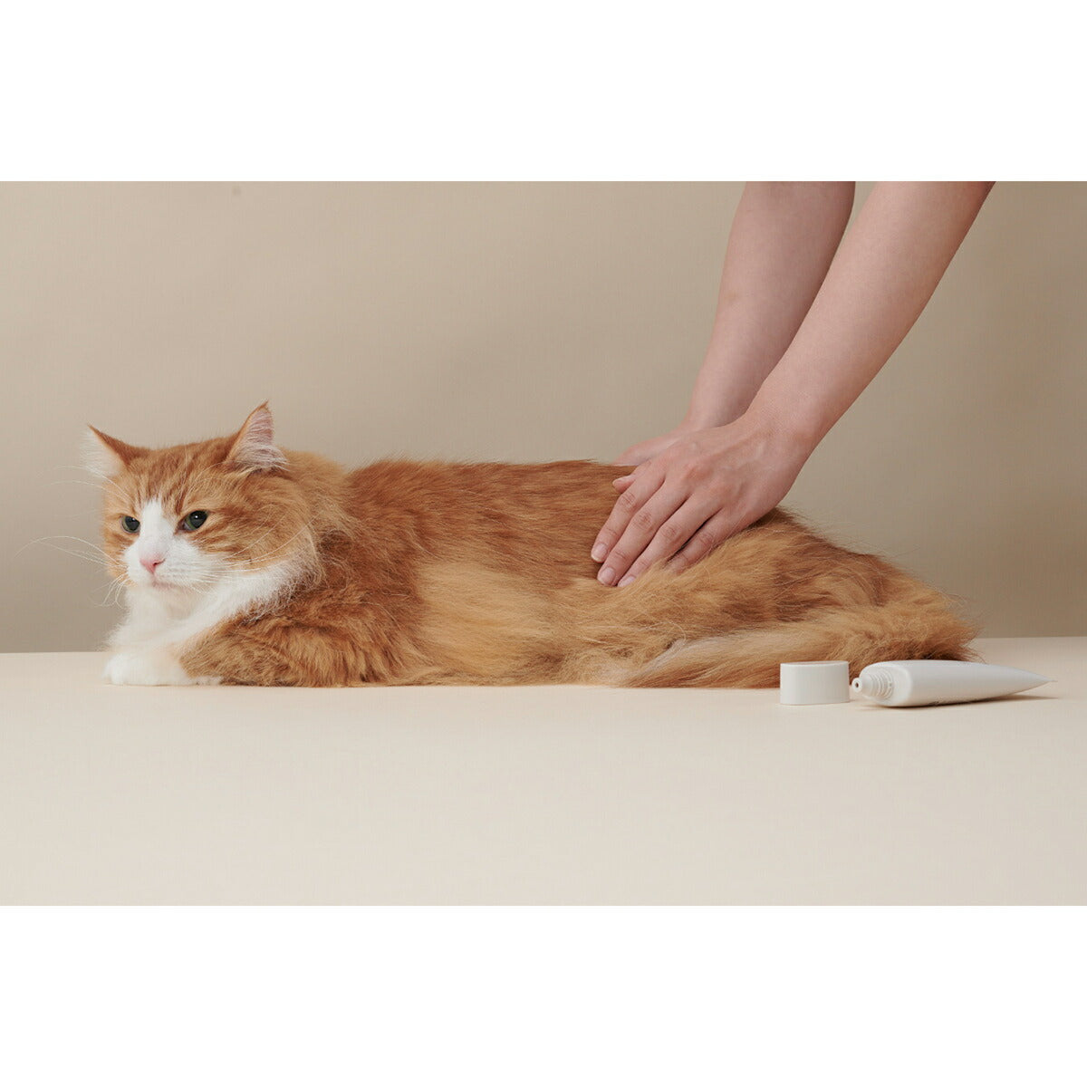 MEDICAT メディキャット スキンケア モイストクリーム 60g 猫スキンケア ふけ かゆみ 肌荒れ ドクターズアイテム 日本製 幹細胞 人型セラミド