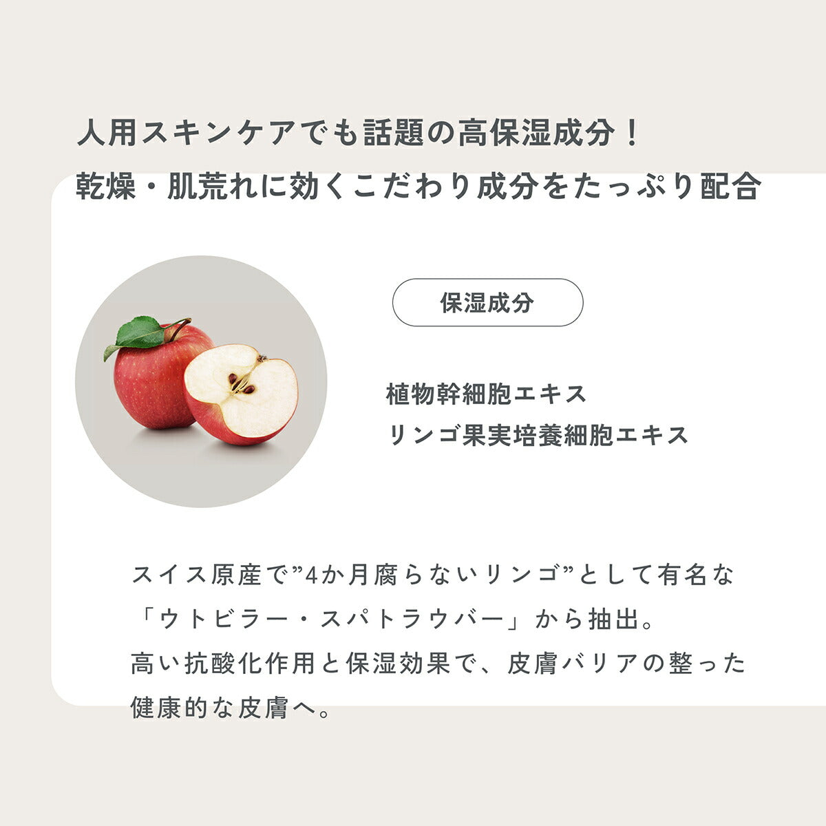 MEDICAT メディキャット スキンケア モイストクリーム 60g 猫スキンケア ふけ かゆみ 肌荒れ ドクターズアイテム 日本製 幹細胞 人型セラミド