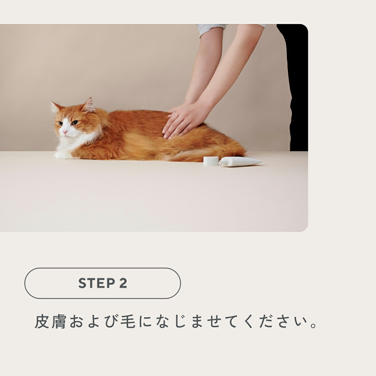 MEDICAT メディキャット スキンケア モイストクリーム 60g 猫スキンケア ふけ かゆみ 肌荒れ ドクターズアイテム 日本製 幹細胞 人型セラミド