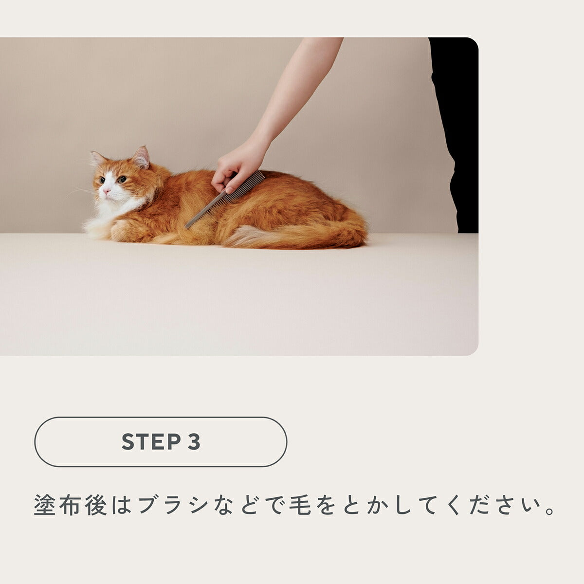 MEDICAT メディキャット スキンケア モイストクリーム 60g 猫スキンケア ふけ かゆみ 肌荒れ ドクターズアイテム 日本製 幹細胞 人型セラミド