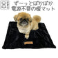 エムペッツ M-PETS WARMO セルフヒーティングマット S ブラック