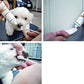 犬口ケア 犬用はみがき 犬用品/ペットグッズ/ペット用品