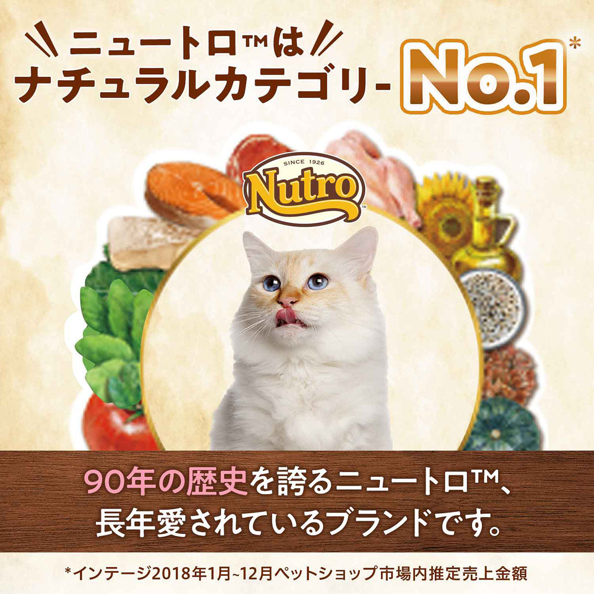 ニュートロ ナチュラルチョイス キャットフード 室内猫用 キトン チキン 500g