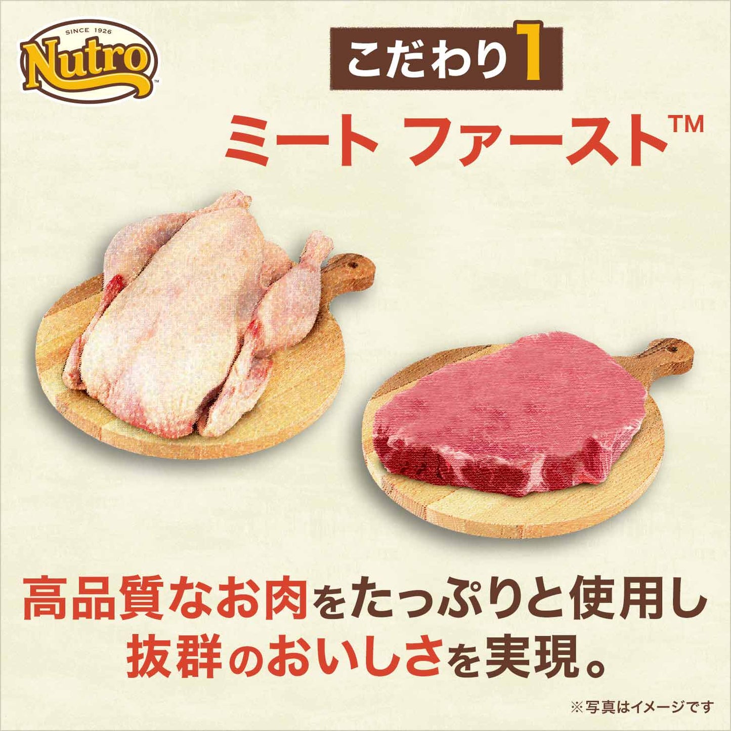 ニュートロ ミニジャーキー チキン ローストチキン風味 35g（無添加 犬用おやつ トリーツ）