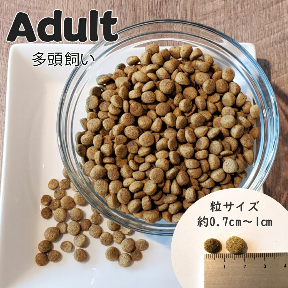 ネイチャーズハグ Nature’s HUG キャットフード アダルト マルチキャット アクティブ 4.54kg【送料無料】 無添加 サスティナビリティ ビーガン 代替タンパク