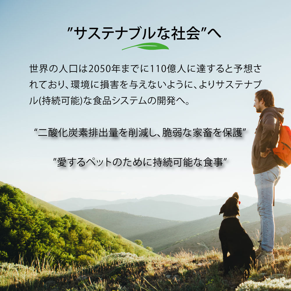 ネイチャーズハグ Nature’s HUG キャットフード アダルト インドア ヘアーボール 1.81kg【送料無料】 無添加 サスティナビリティ ビーガン 代替タンパク