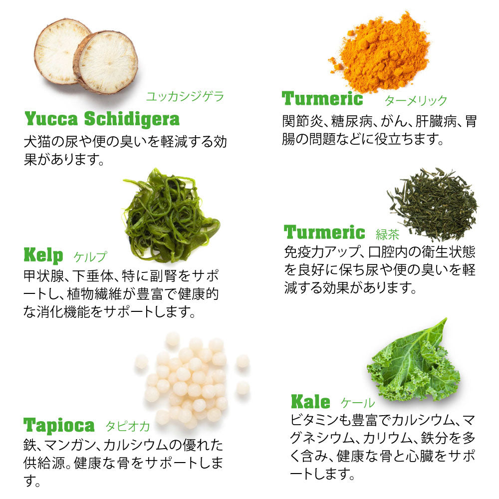 ネイチャーズハグ Nature’s HUG キャットフード シニア レスアクティブ 1.81kg【送料無料】 無添加 サスティナビリティ ビーガン 代替タンパク