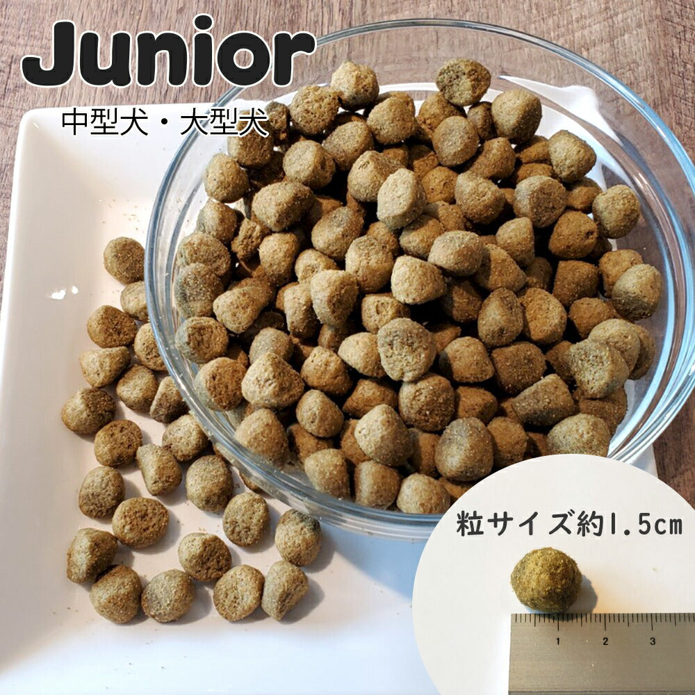 ネイチャーズハグ Nature’s HUG ドッグフード ジュニア ミディアム＆ラージブリード 9.07kg【送料無料】 無添加 サスティナビリティ ビーガン 代替タンパク