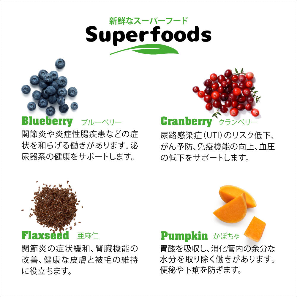 ネイチャーズハグ Nature’s HUG ドッグフード アダルト ミディアム＆ラージブリード 9.07kg【送料無料】 無添加 サスティナビリティ ビーガン 代替タンパク