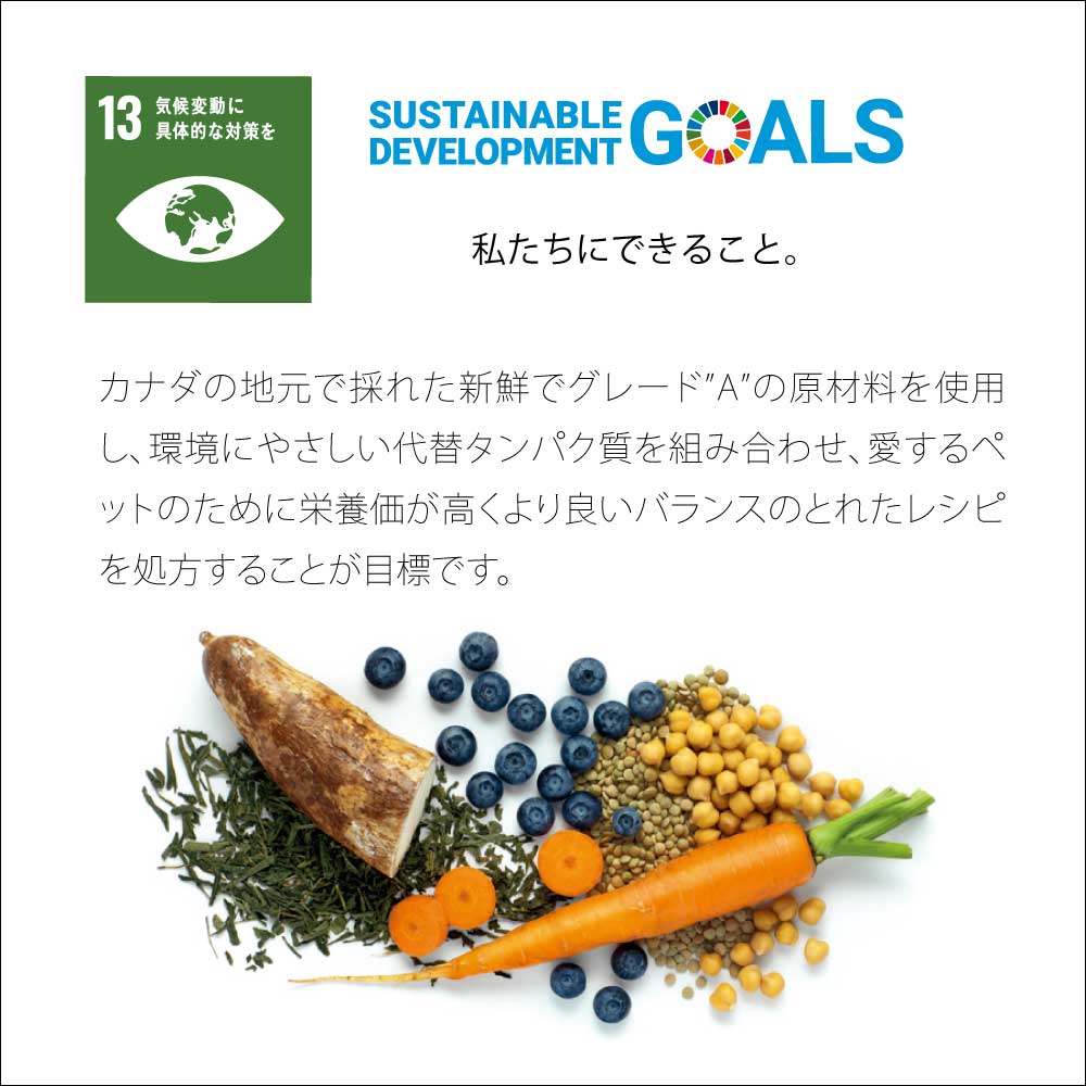 ネイチャーズハグ Nature’s HUG ドッグフード アダルト ミディアム＆ラージブリード 9.07kg【送料無料】 無添加 サスティナビリティ ビーガン 代替タンパク