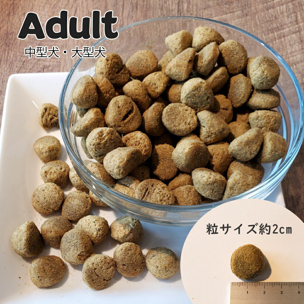 ネイチャーズハグ Nature’s HUG ドッグフード アダルト ミディアム＆ラージブリード 9.07kg【送料無料】 無添加 サスティナビリティ ビーガン 代替タンパク