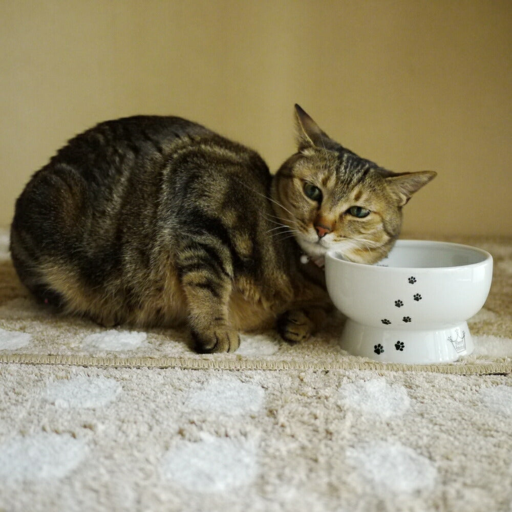 猫壱 ハッピーダイニング 脚付ウォーターボウル シリコン付き 猫柄 猫 磁器 餌皿 電子レンジOK 食洗機OK