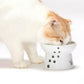 猫壱 ハッピーダイニング 脚付フードボウル シリコン付き 猫柄 猫 磁器 餌皿 電子レンジOK 食洗機OK