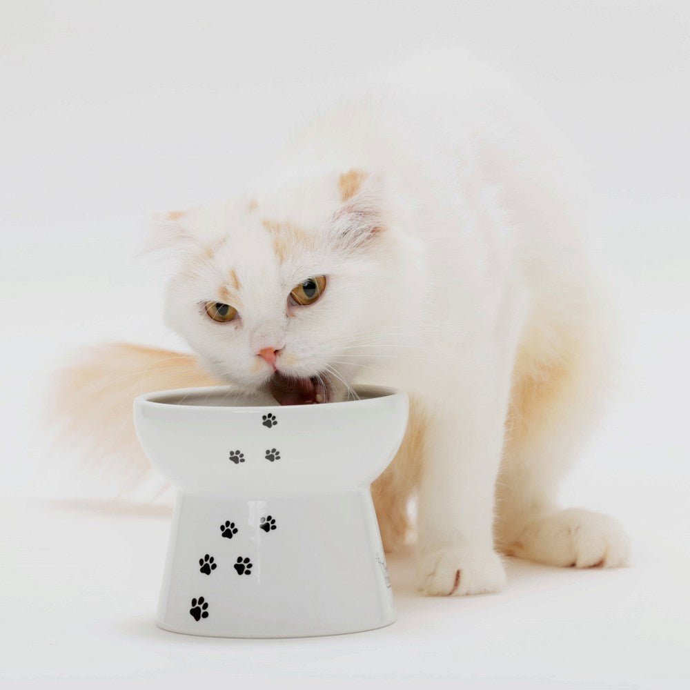 猫壱 ハッピーダイニング 脚付フードボウル シリコン付き 猫柄 猫 磁器 餌皿 電子レンジOK 食洗機OK