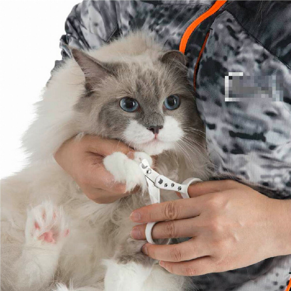 猫壱 ストレスなくスパッと切れる猫用爪切り 日本製 necoichi 送料無料